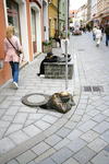 photo 52